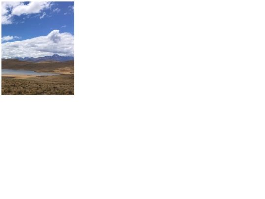 canvas/panorama screenshot