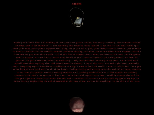 cannon screenshot