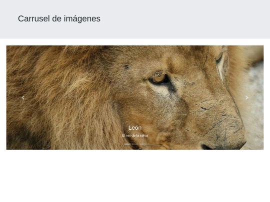 practica/paginas/carrusel screenshot