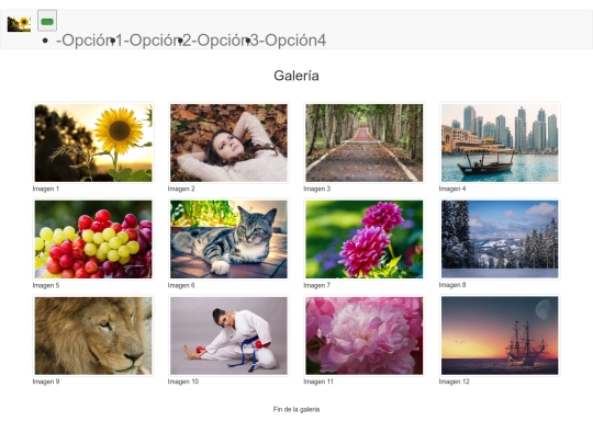 practica/paginas/galeria screenshot