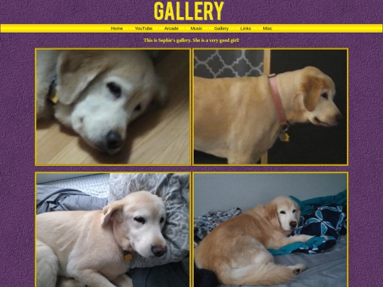 gallery screenshot
