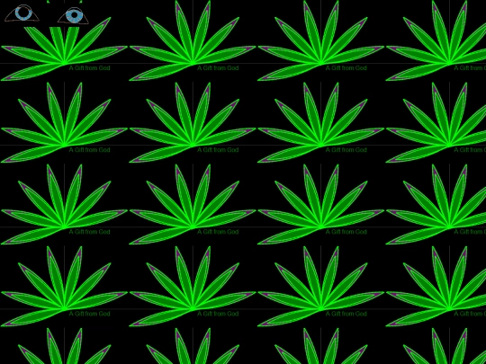 Picture6 screenshot