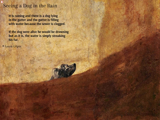 Francisco-de-goya-the-dog screenshot