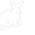 Rabbit Paths avatar