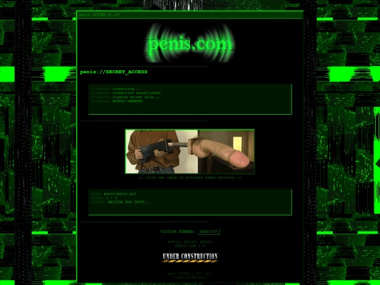 penis screenshot