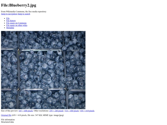 BLUEBERRIES screenshot