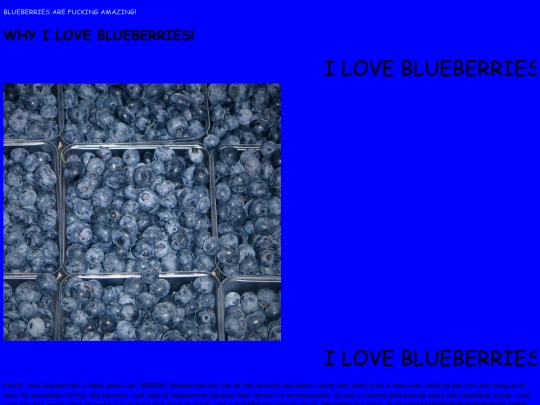blueberries screenshot