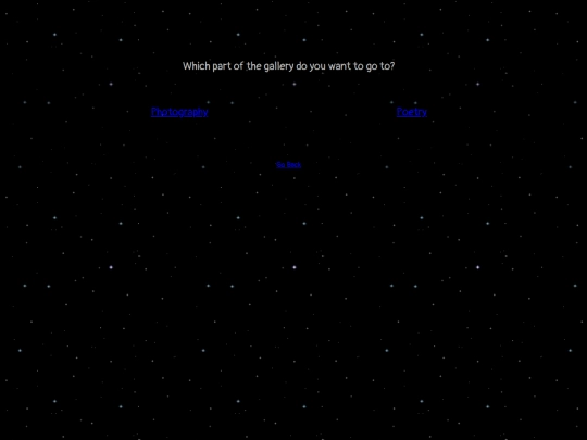 projects/gallery screenshot