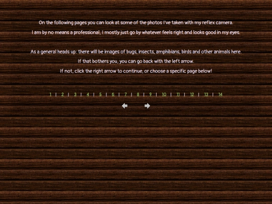 projects/gallery/photography screenshot
