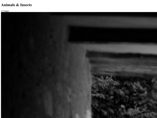 gallery/photogallery/gallery screenshot