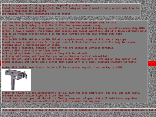 projects screenshot