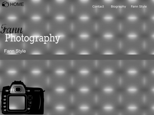 Style screenshot