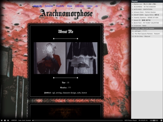 aboutme screenshot