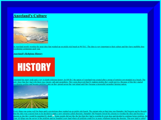 second web page screenshot