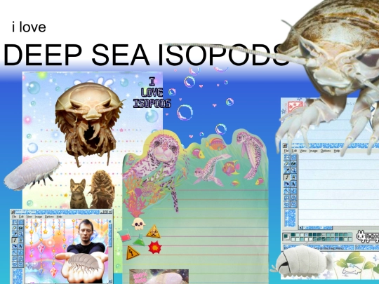 ABOUT ME/INTERESTS/random_interests/isopods/DEEPSEA screenshot