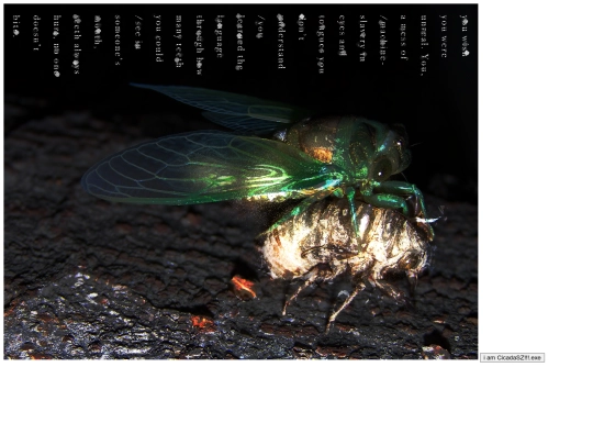 no/optionno screenshot