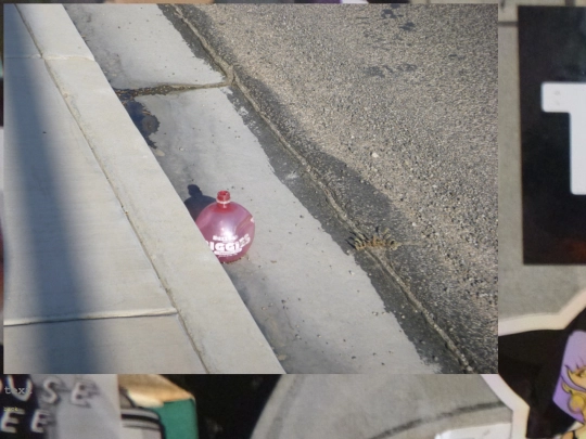 gallery-pages/biggiecupinstreet screenshot