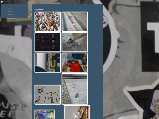 gallery-pages/gallery screenshot