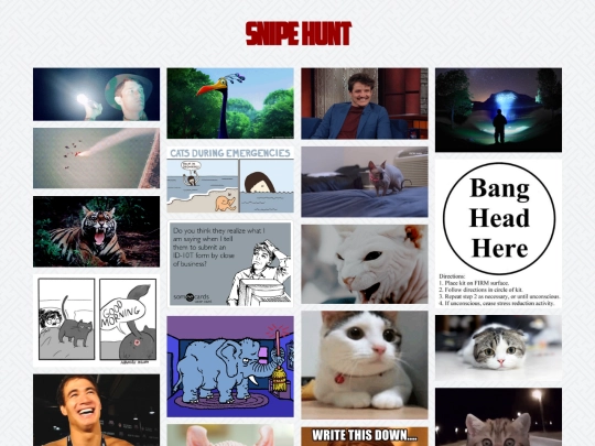 moodboard/005 screenshot