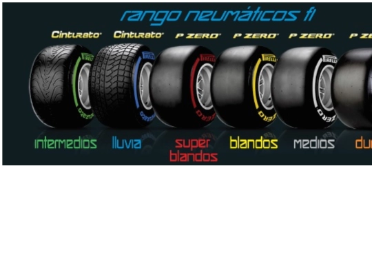 prácticas/neumticos screenshot