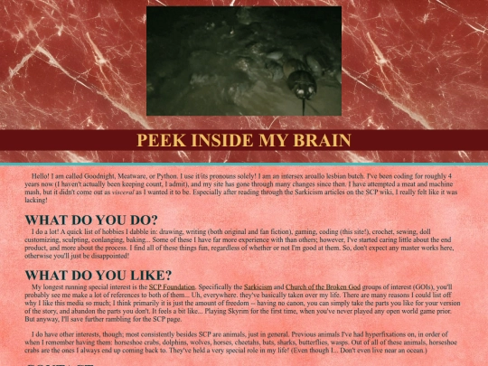 brain screenshot
