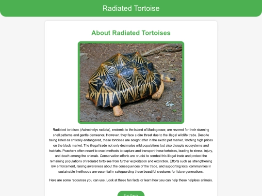 TURTFINAL screenshot