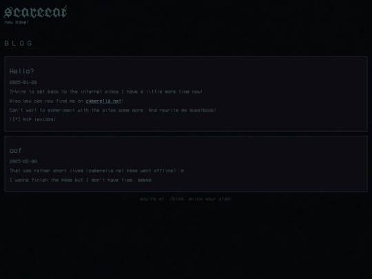 blog screenshot