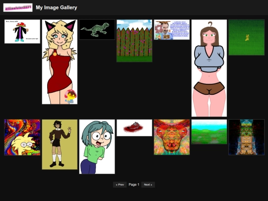 assets/image_gallery_page screenshot