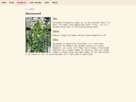 plants/burnweed screenshot