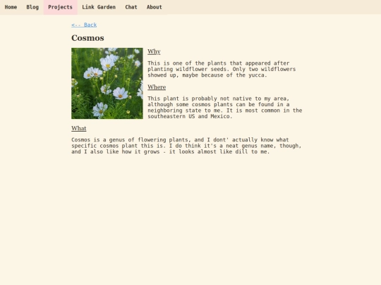 plants/cosmos screenshot