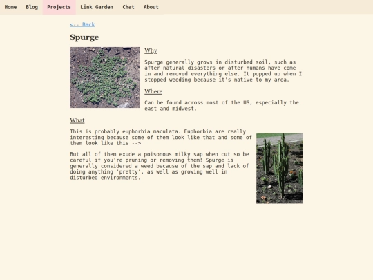 plants/spurge screenshot