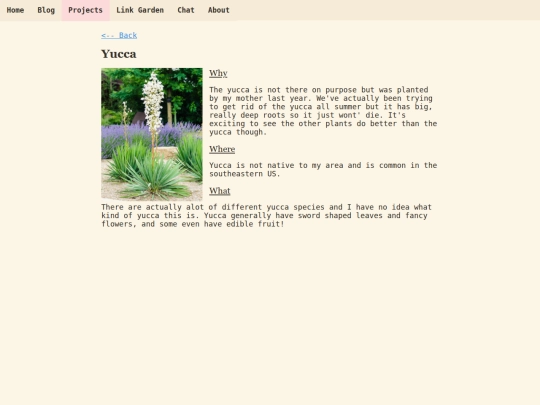 plants/yucca screenshot