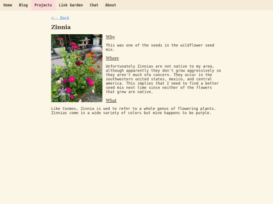 plants/zinnia screenshot
