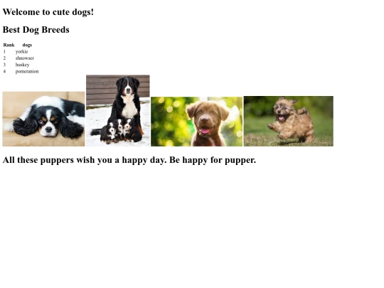 cute_dogs screenshot