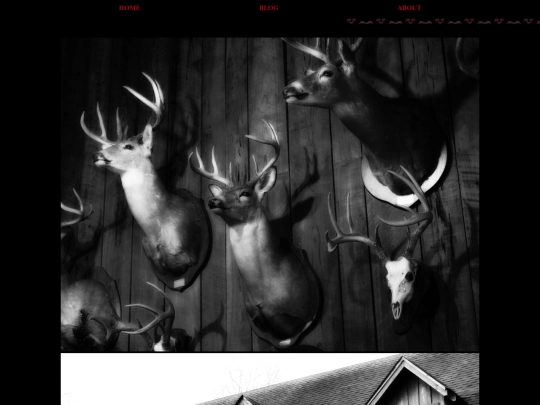 the-camp screenshot