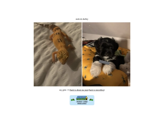 pets screenshot