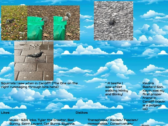About screenshot