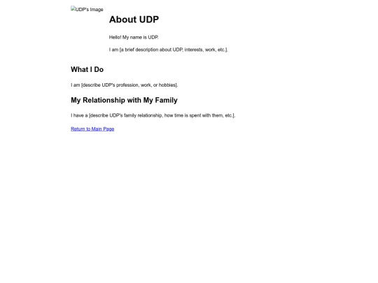 udp screenshot