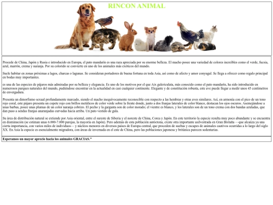 html/pato_mandarin screenshot