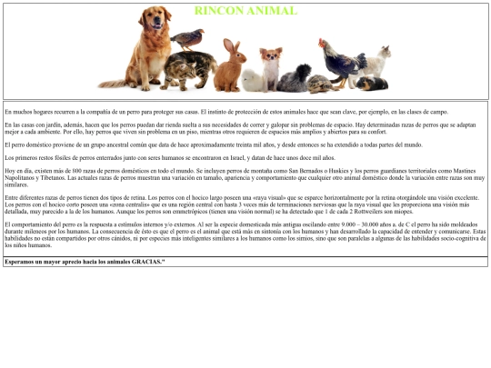 html/perro_comun screenshot