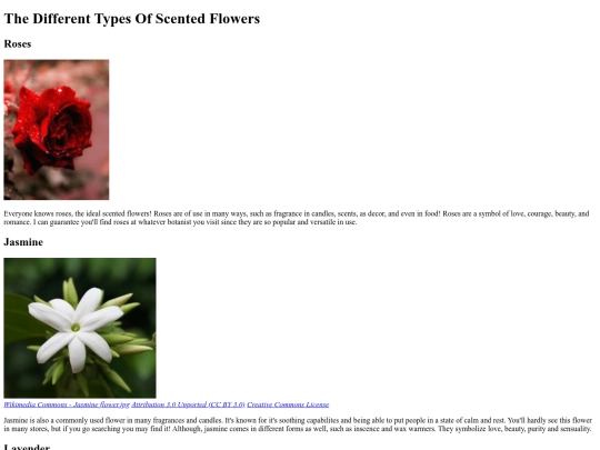 flowers screenshot