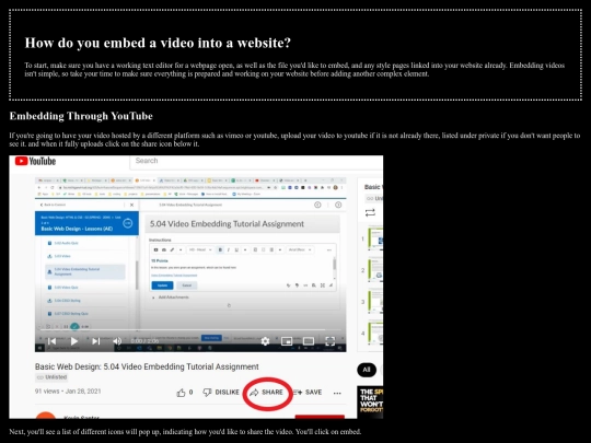 vid_emb screenshot
