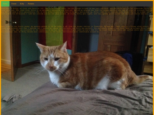 Kitty screenshot