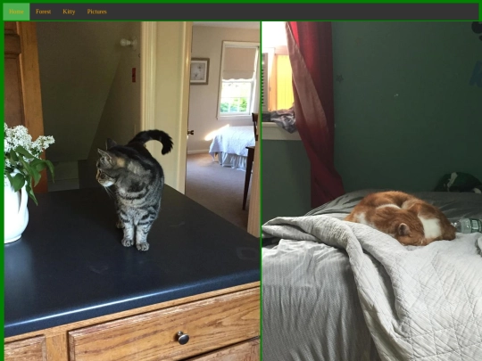 Pictures screenshot