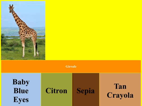 color screenshot