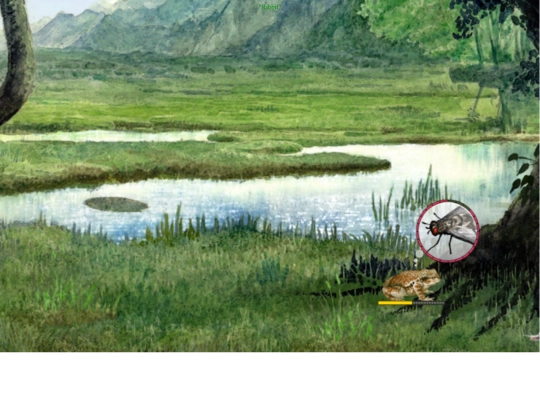 KTP/frogminutes screenshot