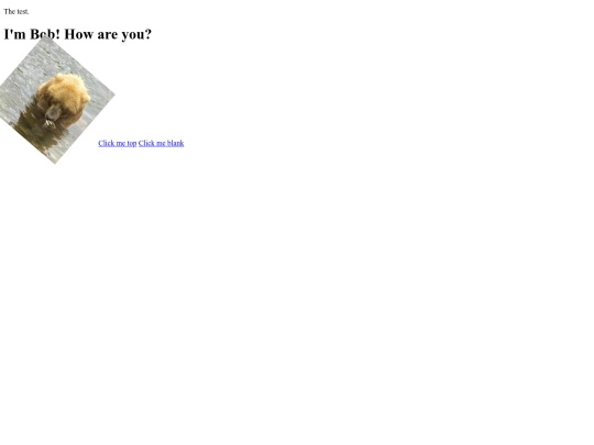 bob screenshot