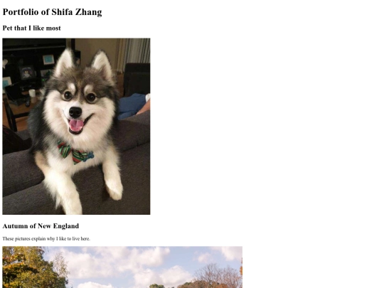 portfolio screenshot
