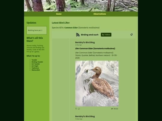 gallery screenshot