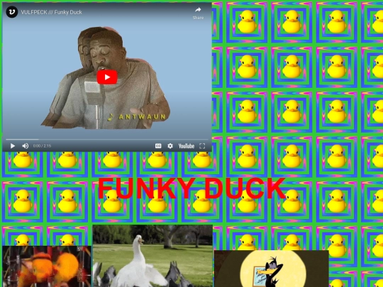 funkyduck screenshot